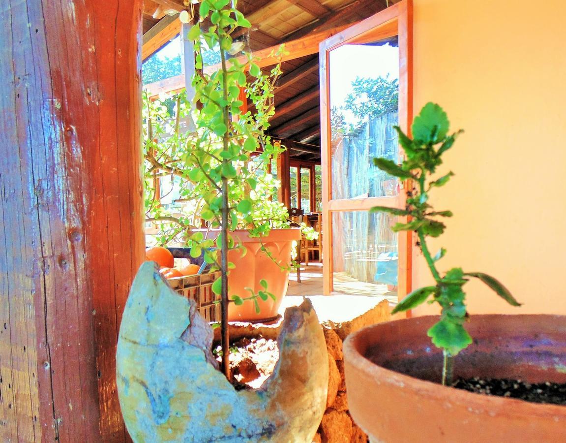 Agriturismo Calamosche Hotel Noto Exterior photo